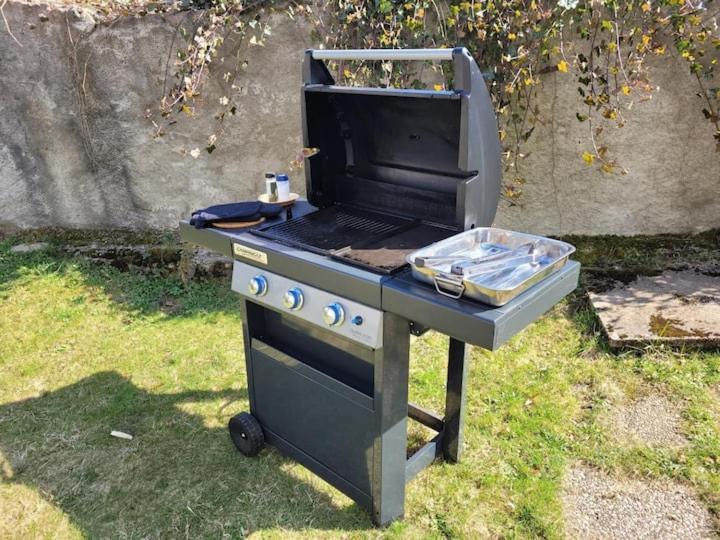 Gite Eglantine 2 à 6 personnes avec SPA DANS RESIDENCE Ventron Extérieur photo