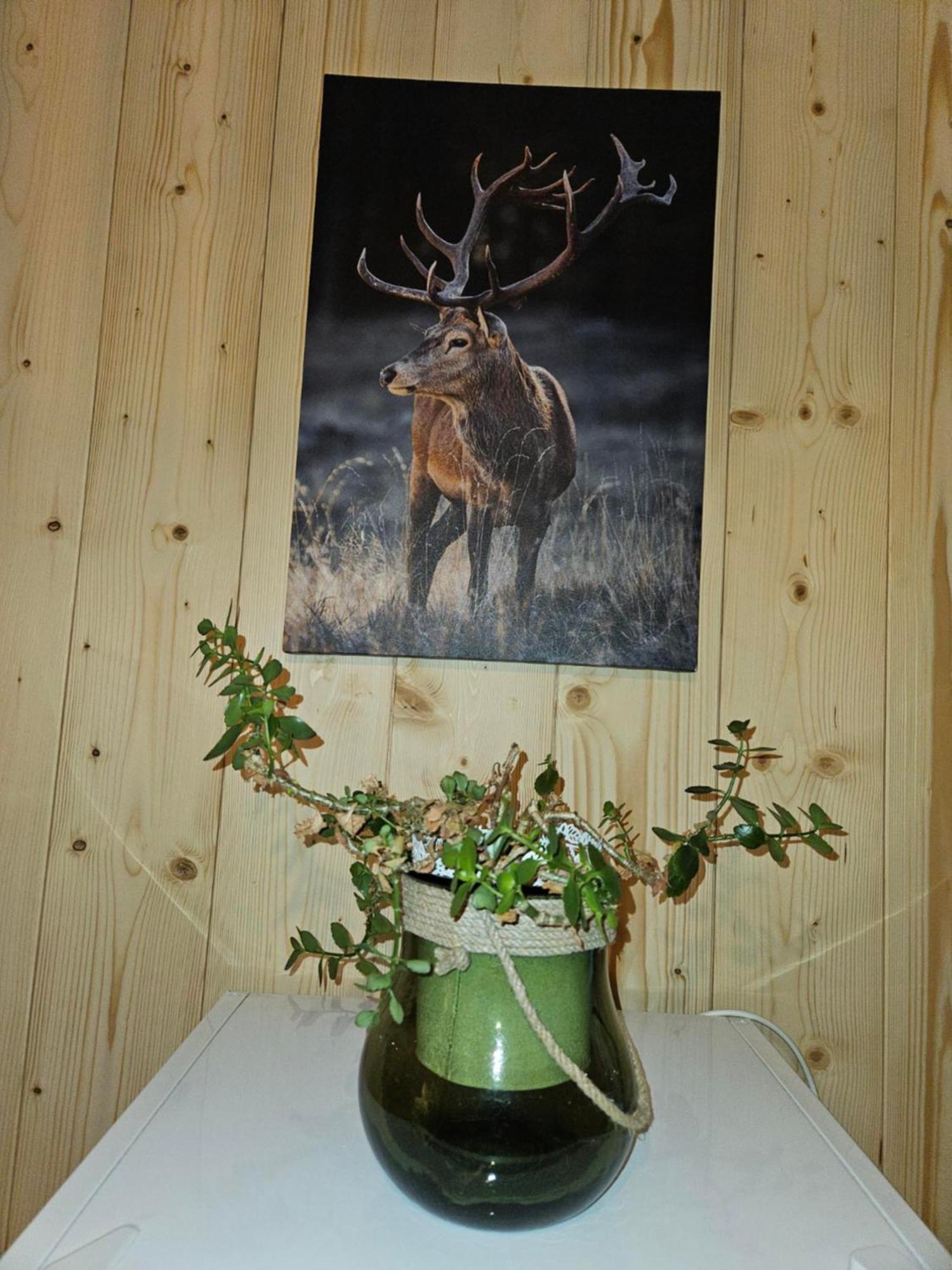 Gite Eglantine 2 à 6 personnes avec SPA DANS RESIDENCE Ventron Extérieur photo